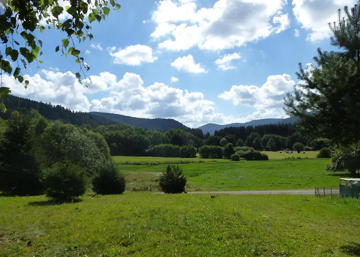 G1 Fully Equipped 1a 2 Pers 3 Stars Wifi Lägenhet Le Tholy